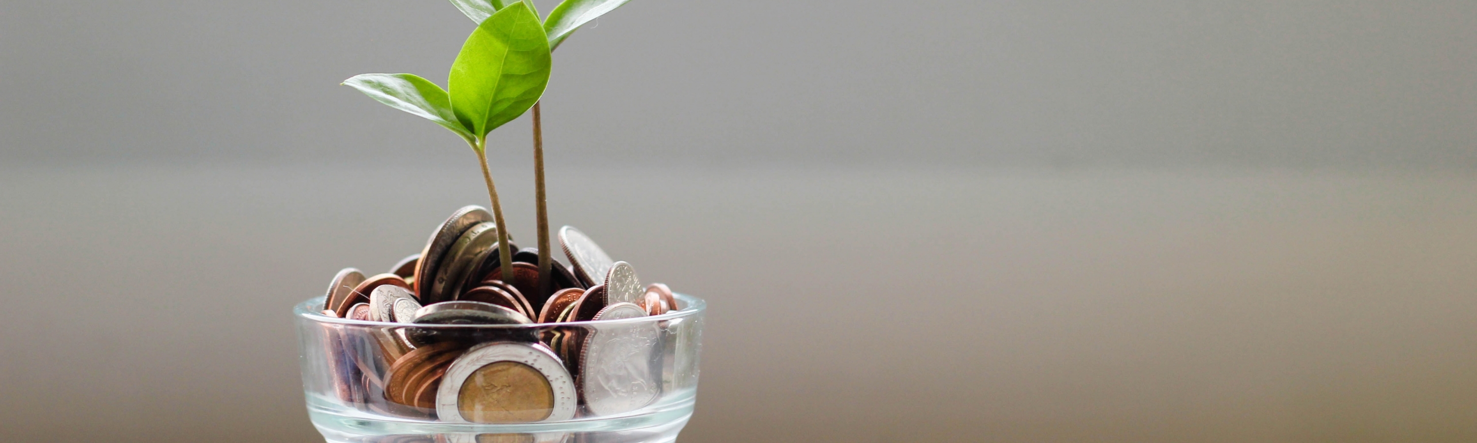 Duurzaam kantoor: 5 praktische tips met directe impact | Green Nederland