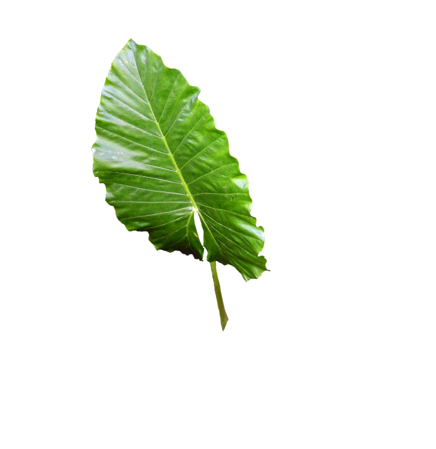 Offerte binnen een dag